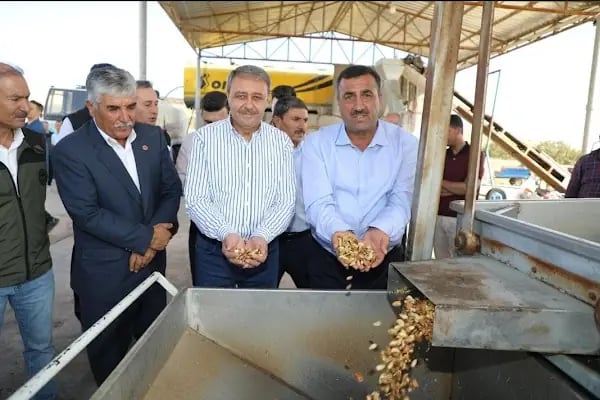 Çelik Zeytinyağı Fabrikası - Resim 11