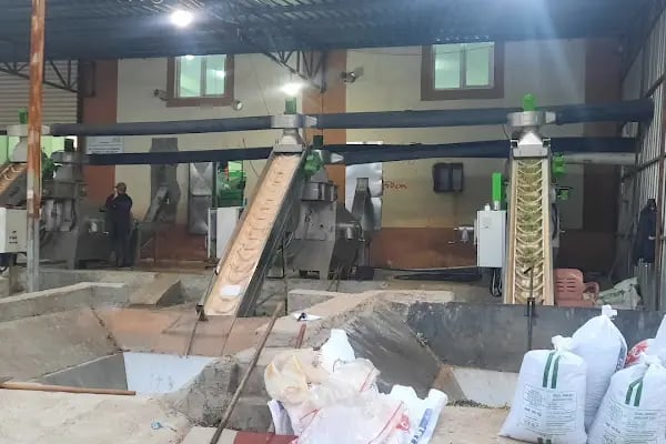 Çelik Zeytinyağı Fabrikası - Resim 3