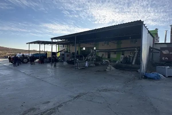 Çelik Zeytinyağı Fabrikası - Resim 8