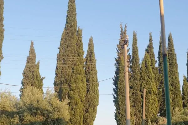 Aras Kargo Aksu Şubesi - Resim 3