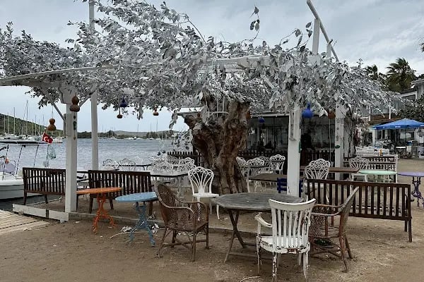 The Cafe Bite's - Resim 8