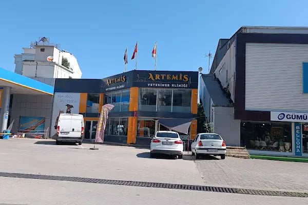 Artemis Veteriner Kliniği - Resim 9