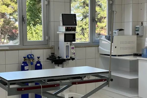 Artemis Veteriner Kliniği - Resim 3