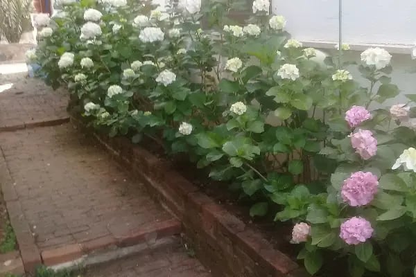 La Mignonne Kadıkalesi - Resim 15