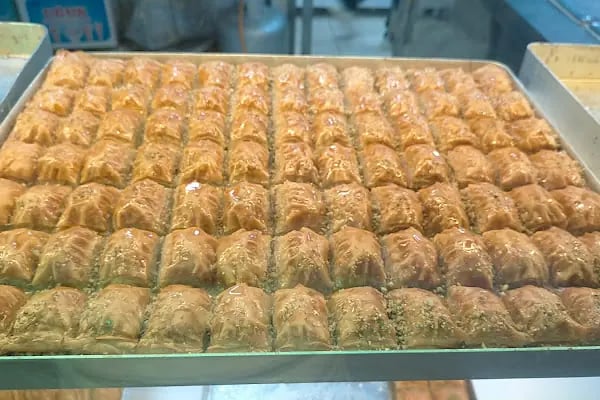 Kardelen Pastanesi - Resim 4