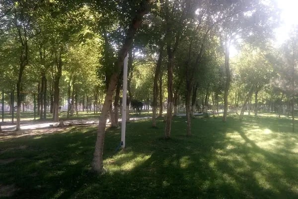 İbrahim Oruç Parkı - Resim 11