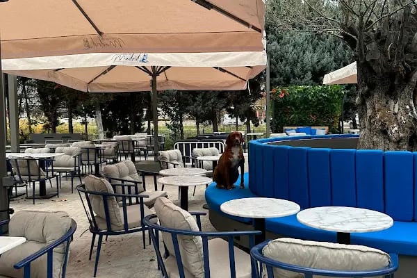 Coffee de Madrid Başiskele - Resim 14