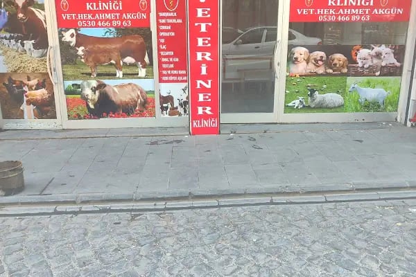 Bistin veteriner - Resim 12