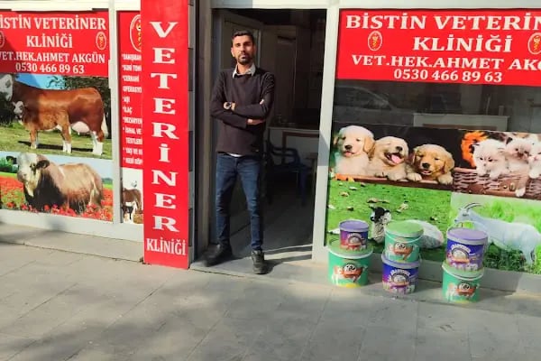 Bistin veteriner - Resim 2
