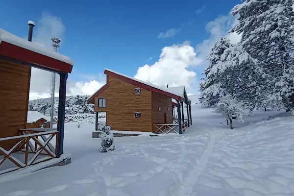 Bursa Bungalov Ev Kiralama - Resim 4