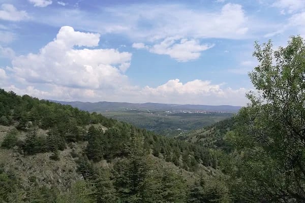 ODTÜ Ormanı - Resim 15