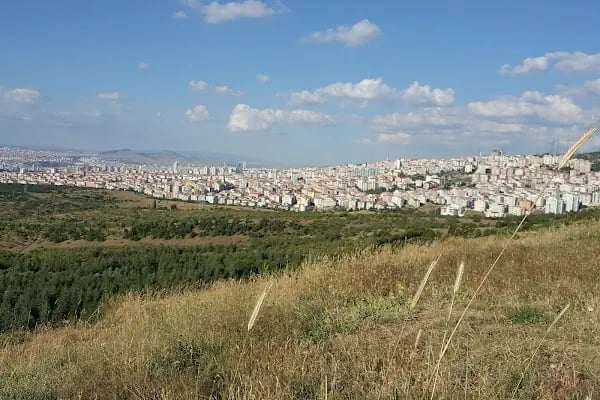 ODTÜ Ormanı - Resim 16