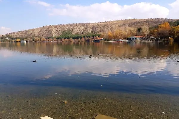 ODTÜ Ormanı - Resim 9