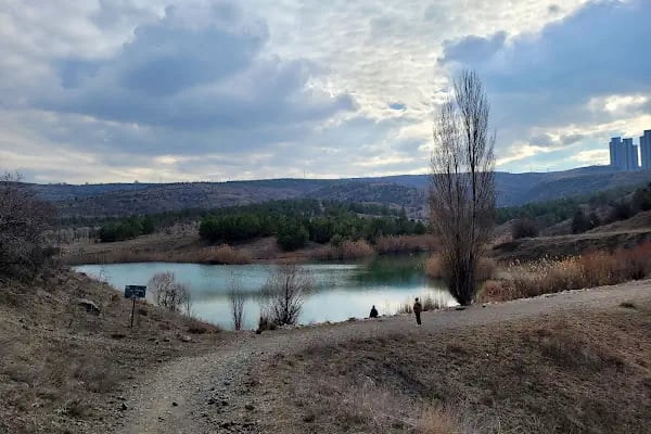 ODTÜ Ormanı - Resim 4