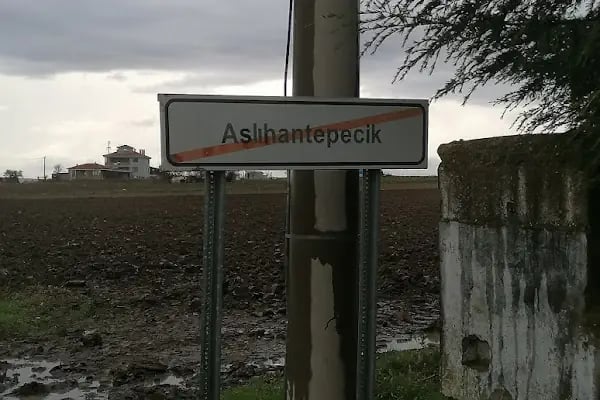 Aslıhantepeciği - Resim 4