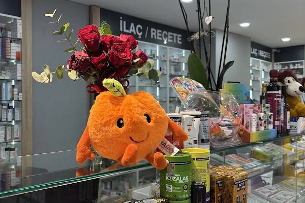 ÇAM eczanesi (çam pharmacy) - Resim 3