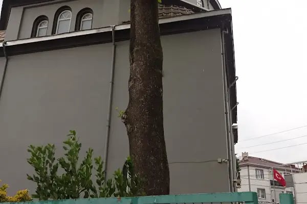 Mesudiye Yeni Cami - Resim 2