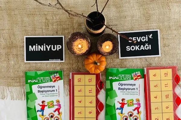 Sevgi Sokağı Orman Okulu - Resim 4