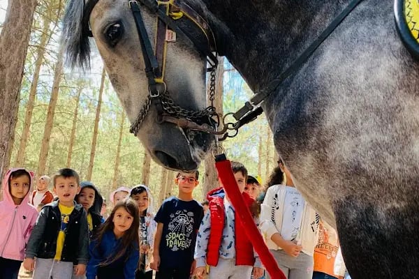 Sevgi Sokağı Orman Okulu - Resim 15