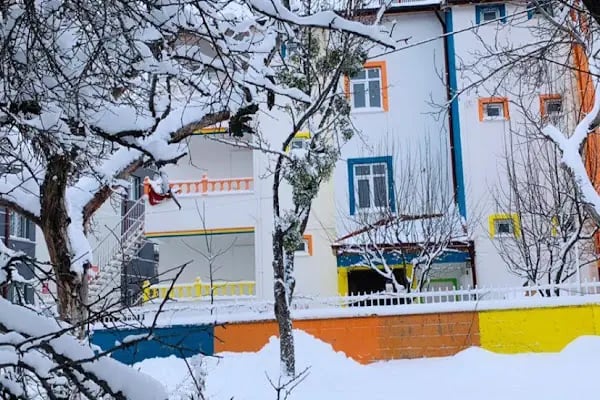 Sevgi Sokağı Orman Okulu - Resim 12