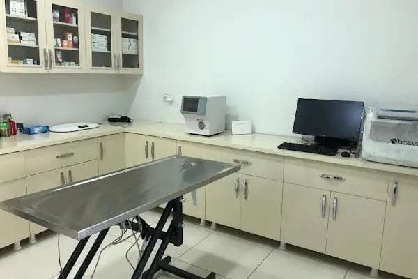 VetRoyal Veteriner Kliniği - Resim 17