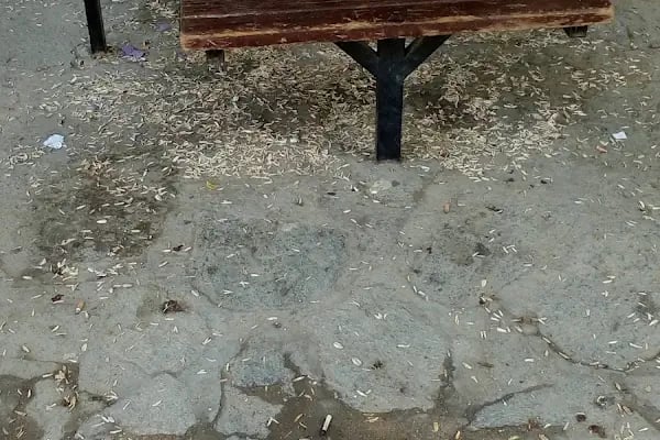 Gürsü Erguvan Parkı - Resim 6