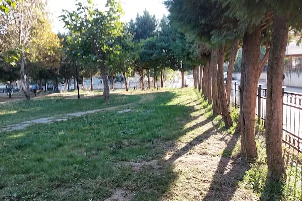 Gürsü Erguvan Parkı - Resim 2