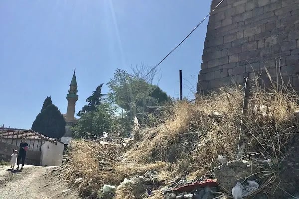 Laleli Cami - Resim 4