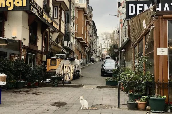 Seyir Terası - Resim 8