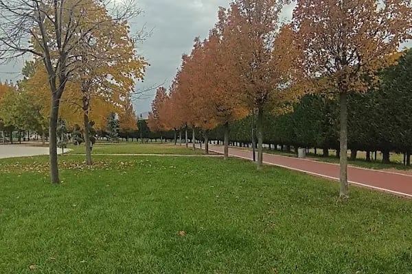 Berlika Parkı - Resim 2