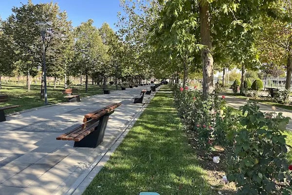 Berlika Parkı - Resim 12