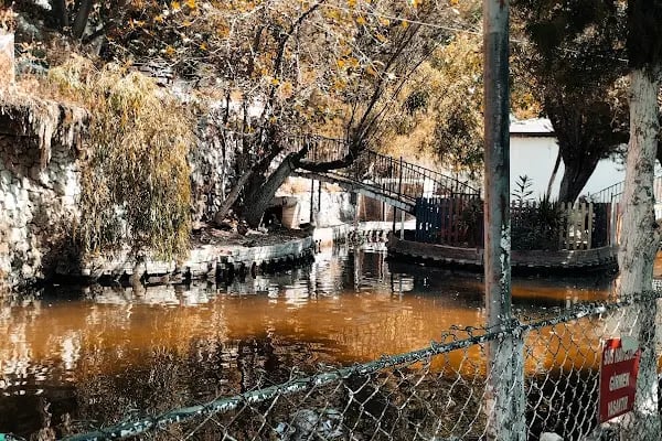 Beyaz Papatya Kahvaltı Salonu - Resim 5