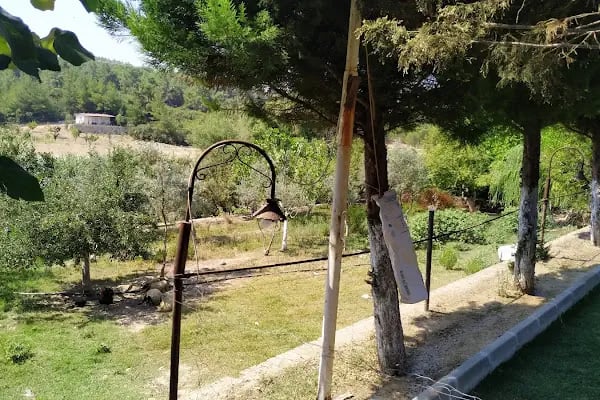 Beyaz Papatya Kahvaltı Salonu - Resim 18