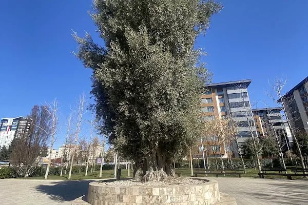 Koru Parkı - Resim 12