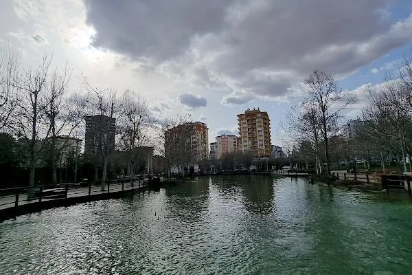 Koru Parkı - Resim 4