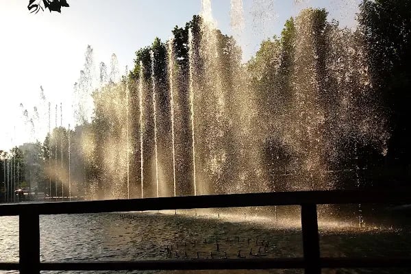 Koru Parkı - Resim 7