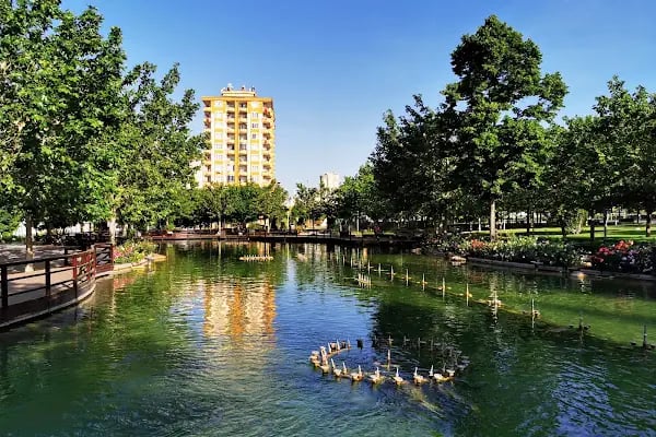 Koru Parkı - Resim 6