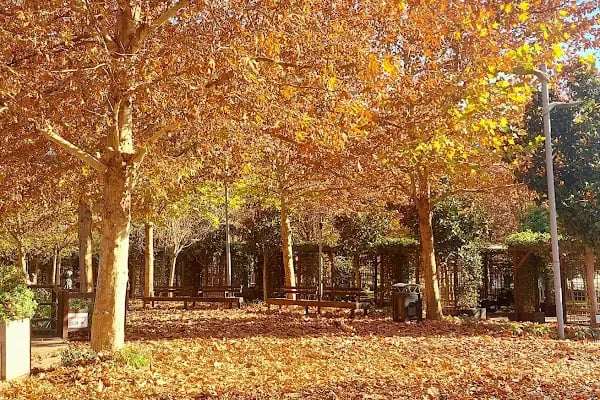 Koru Parkı - Resim 8