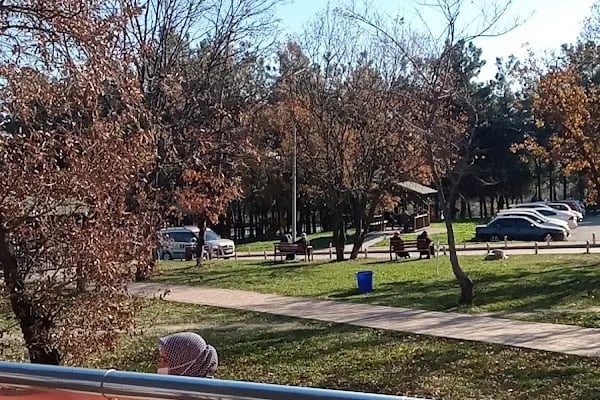 Ondokuz Mayıs Üniversitesi Tıp Fakültesi - Resim 12