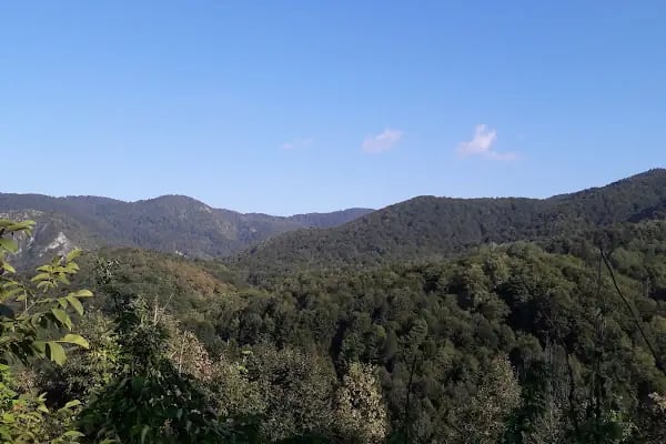 Yuvacık İlkokul ve Ortaokulu - Resim 7