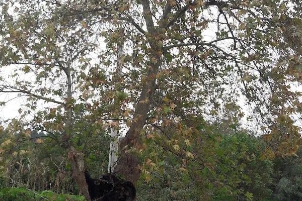 Yuvacık İlkokul ve Ortaokulu - Resim 12