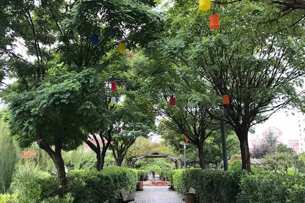 Başakşehir Belediyesi Şelale Park Sosyal Tesisleri - Resim 19
