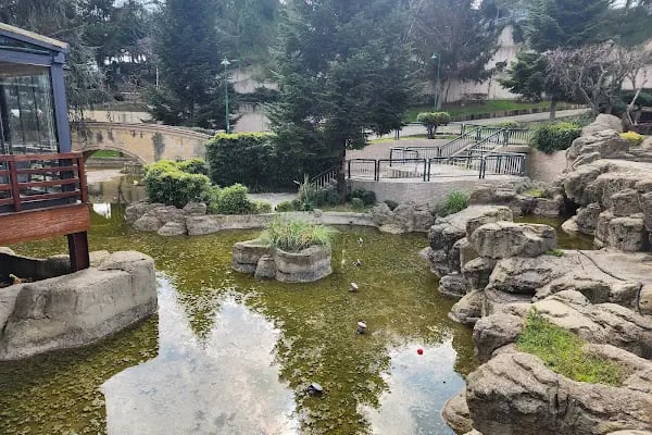 Başakşehir Belediyesi Şelale Park Sosyal Tesisleri - Resim 6