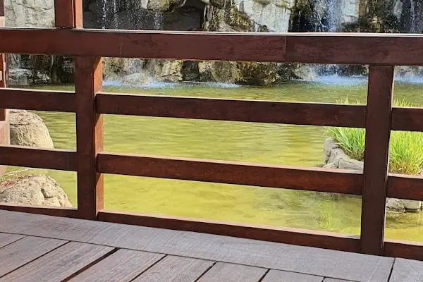 Başakşehir Belediyesi Şelale Park Sosyal Tesisleri - Resim 13