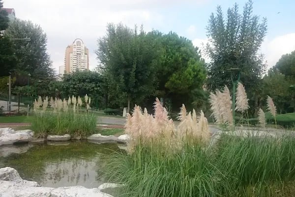 Başakşehir Belediyesi Şelale Park Sosyal Tesisleri - Resim 18