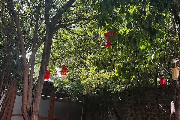 İngiliz Kültür Dil Kursu Bornova Şubesi - Resim 14