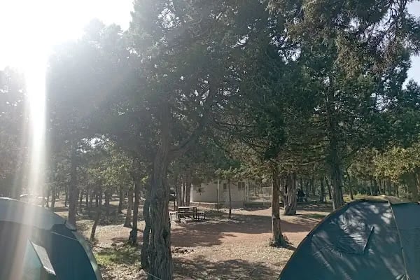 Yesildag Kamp Alani - Resim 15