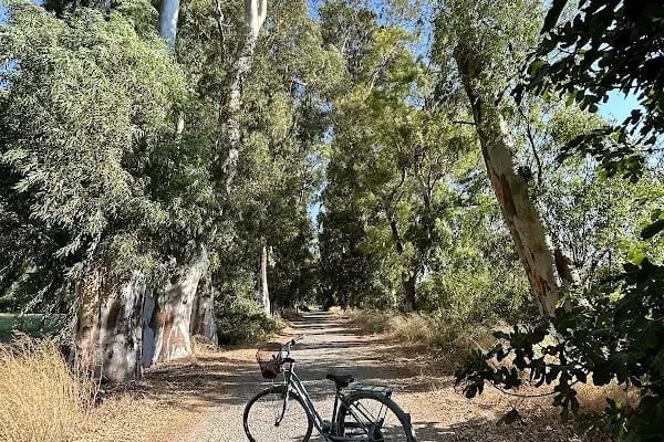 Akyaka Motosiklet (scooter) Kiralama Merkezi - Resim 11