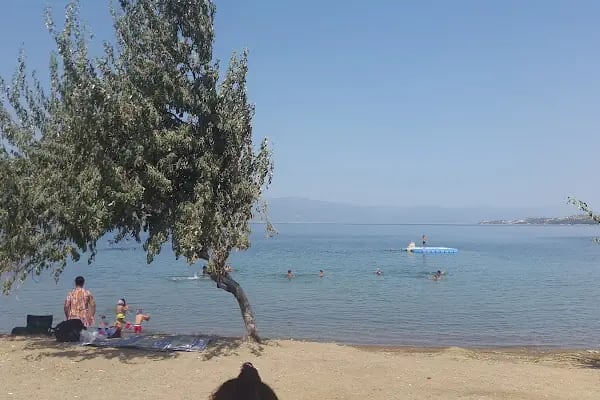 Kocaeli Yonca Tatil Sitesi - Resim 17