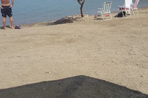 Kocaeli Yonca Tatil Sitesi - Resim 8